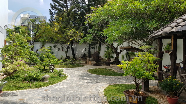 Long description image 1