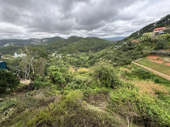 Long description image 1