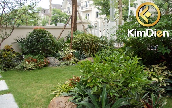 Long description image 1