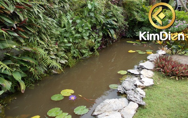 Long description image 1