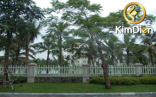 Long description image 1