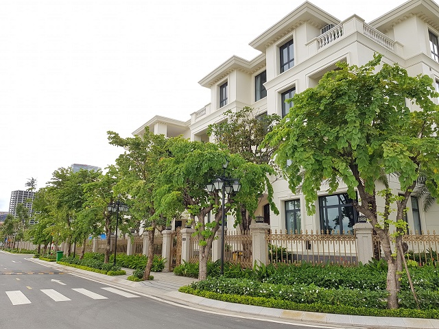 Long description image 1