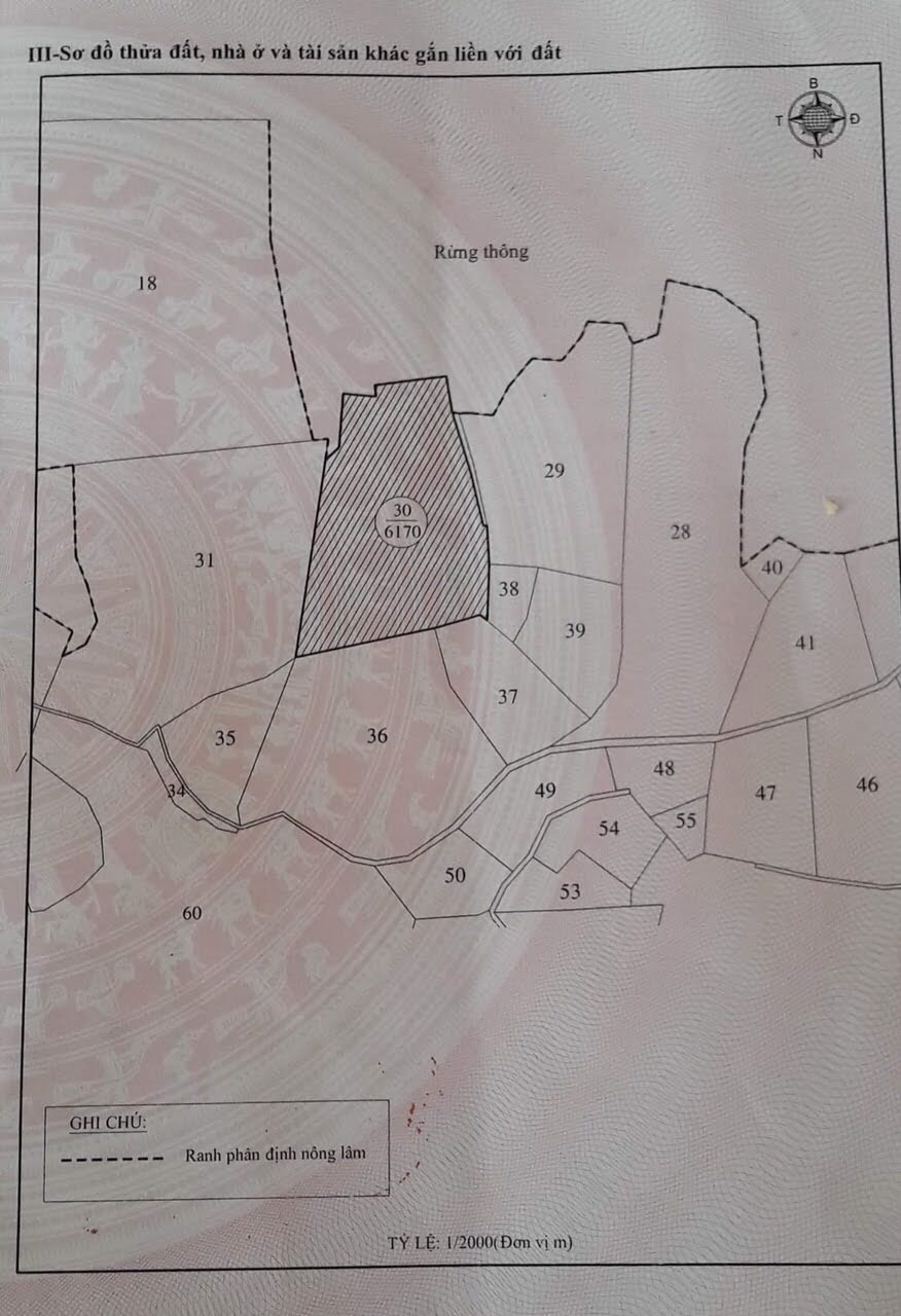 Long description image 1