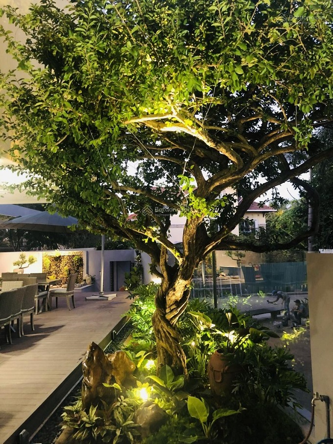 Long description image 1