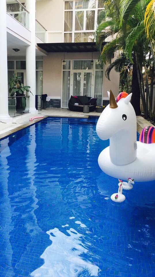 Long description image 1