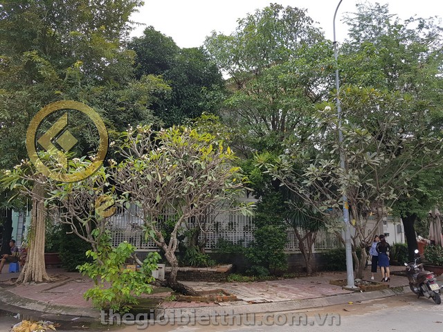 Long description image 1