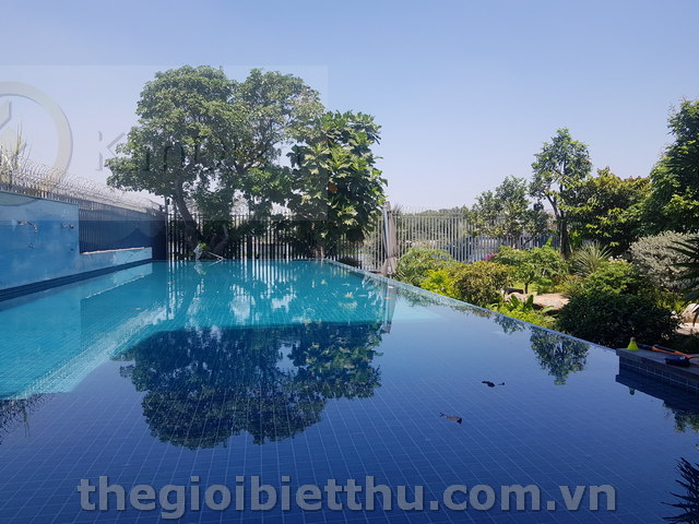 Long description image 1