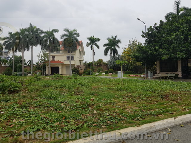 Long description image 1