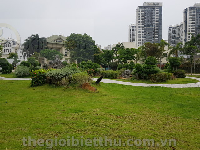 Long description image 1