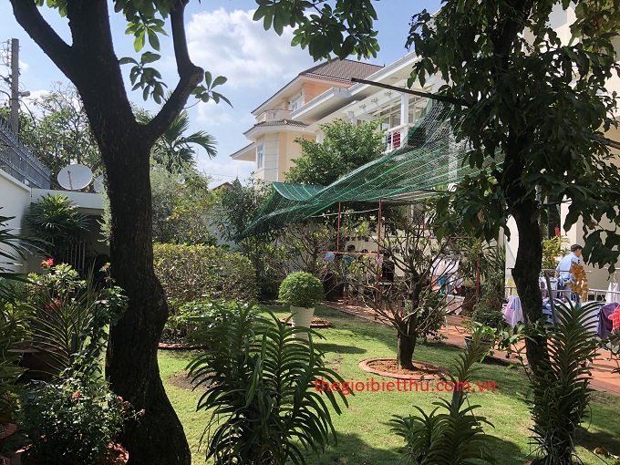 Long description image 1