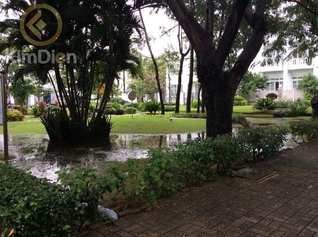 Long description image 1