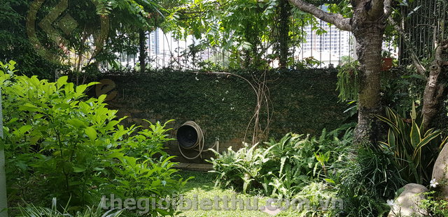 Long description image 1