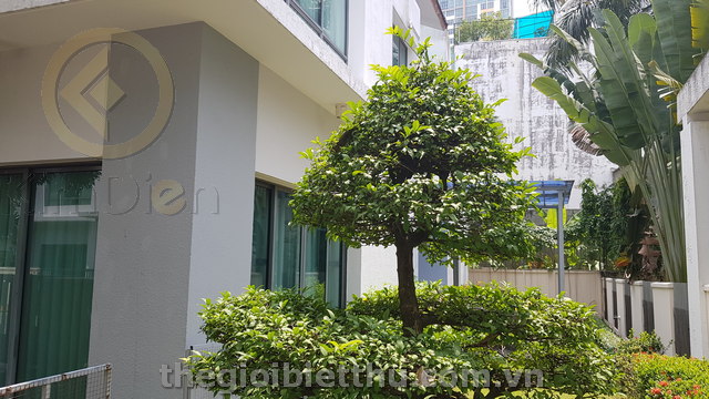 Long description image 1