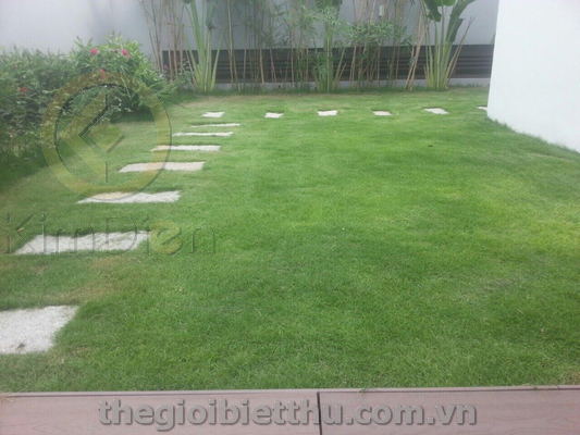 Long description image 1