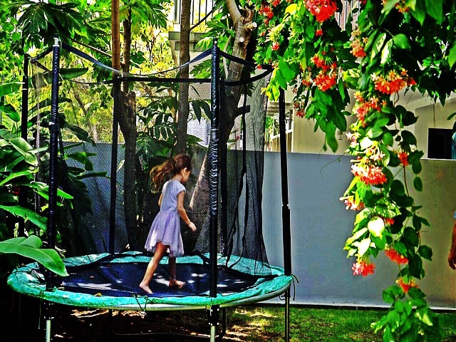 Long description image 1