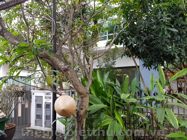 Long description image 1