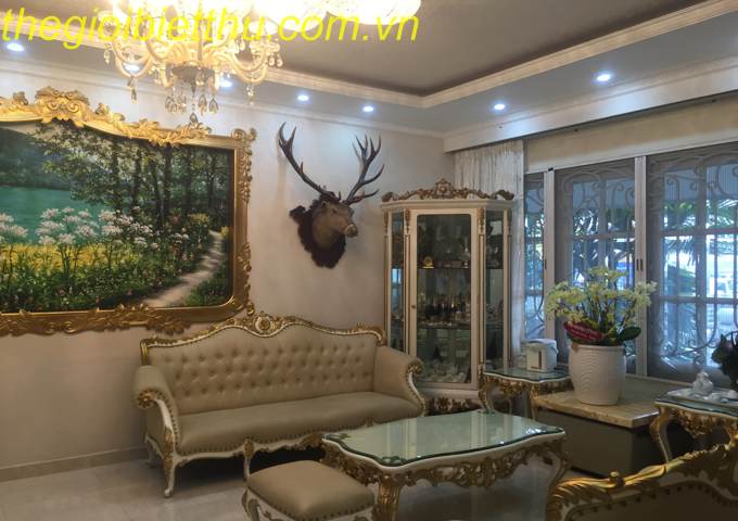 Long description image 1