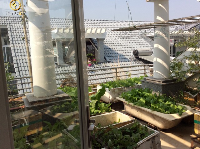 Long description image 1