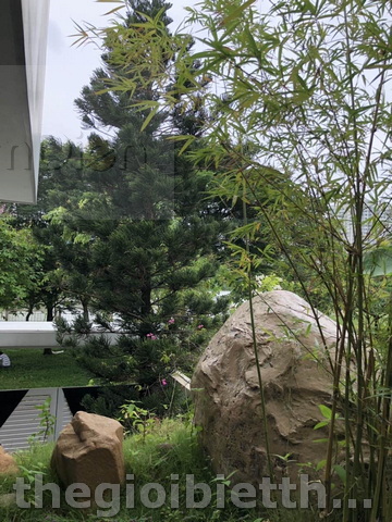 Long description image 1