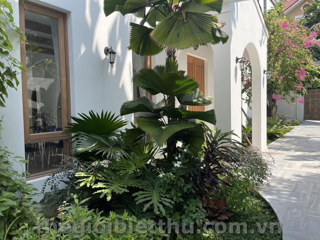 Long description image 1