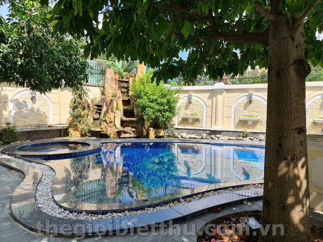 Long description image 1