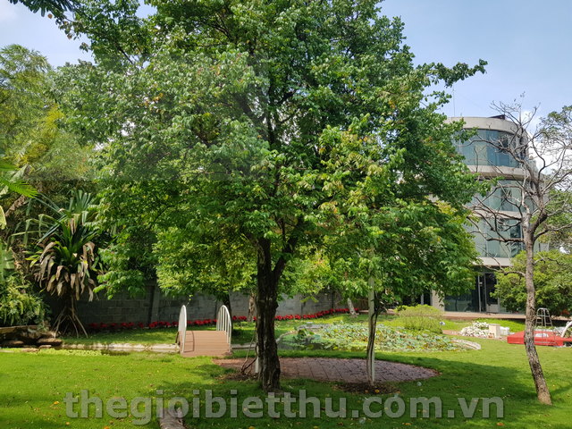 Long description image 1