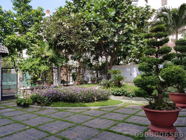 Long description image 1