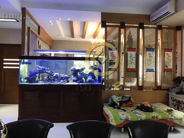 Long description image 1