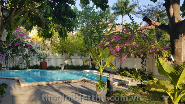 Long description image 1