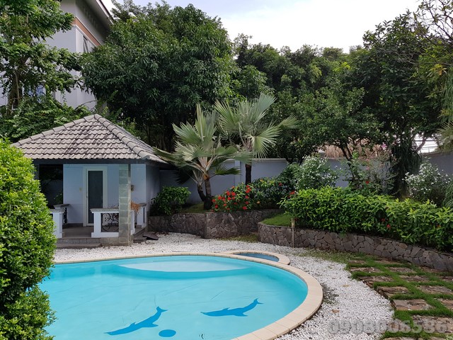 Long description image 1