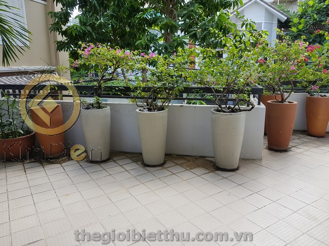 Long description image 1