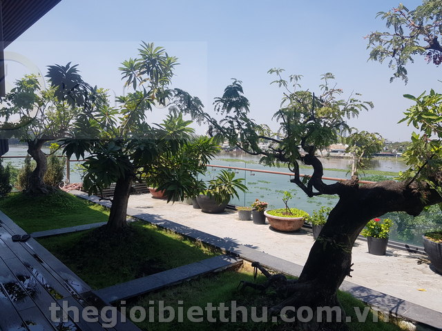 Long description image 1