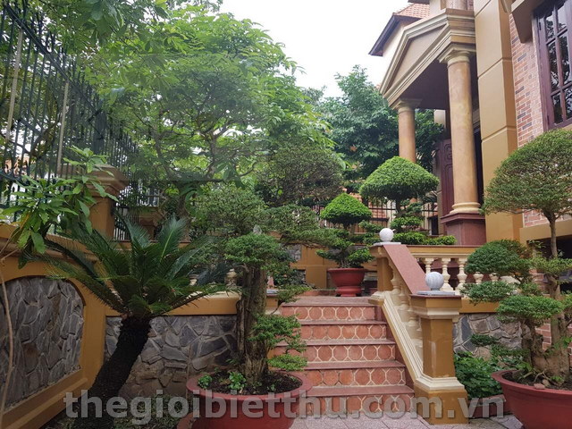 Long description image 1