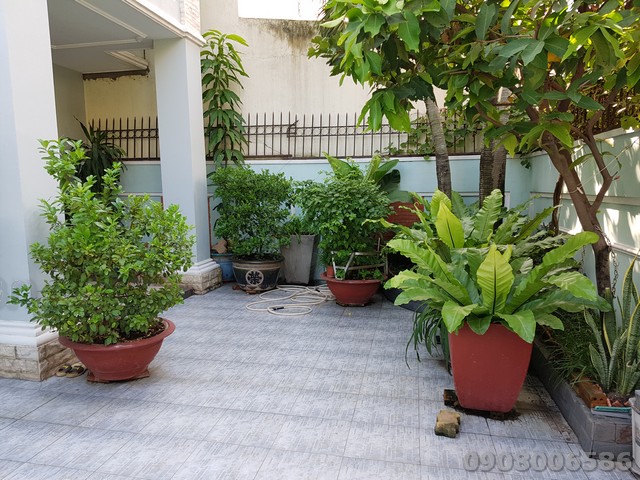 Long description image 1