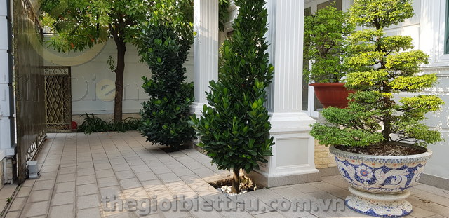 Long description image 1