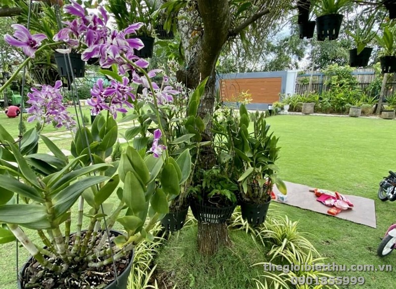 Long description image 1