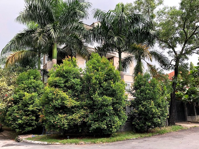 Long description image 1