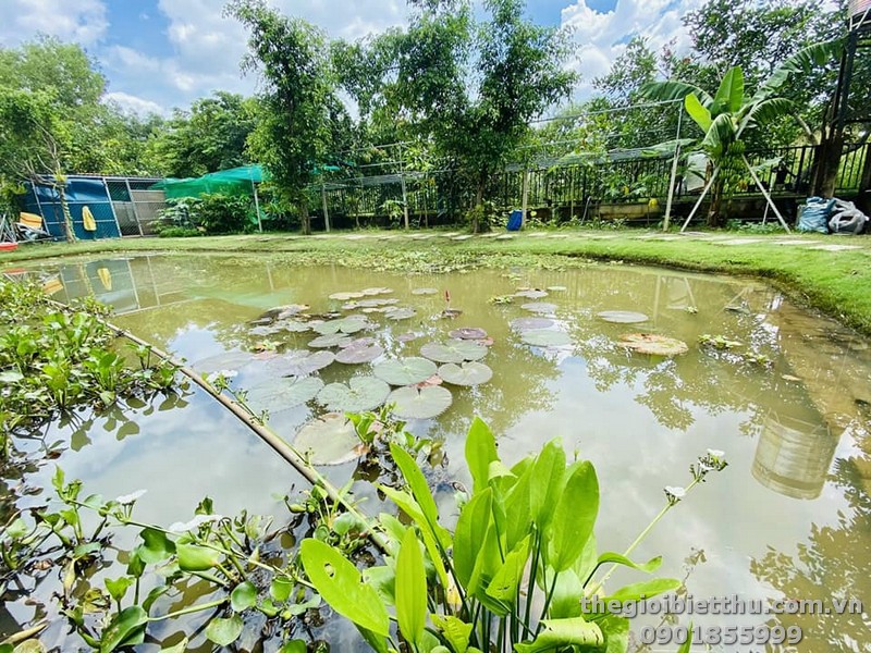 Long description image 1