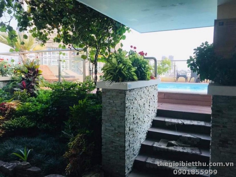 Long description image 1