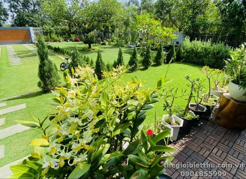 Long description image 1