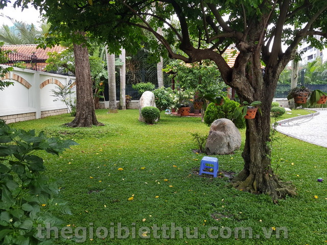 Long description image 1