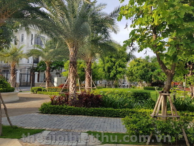 Long description image 1