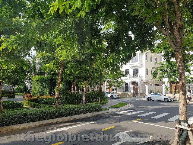 Long description image 1