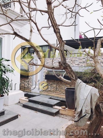 Long description image 1