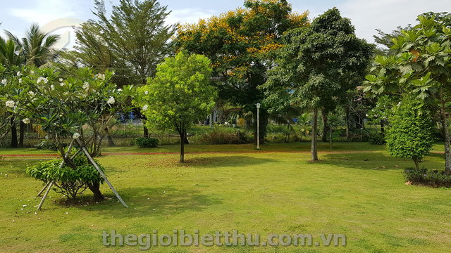 Long description image 1