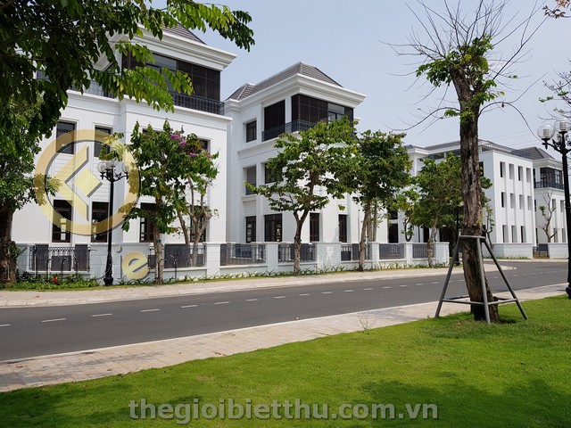 Long description image 1