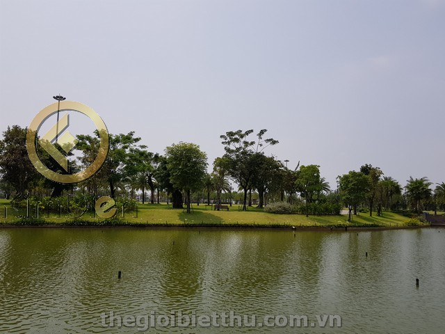 Long description image 1