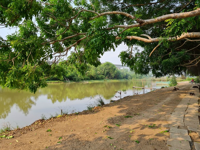 Long description image 1