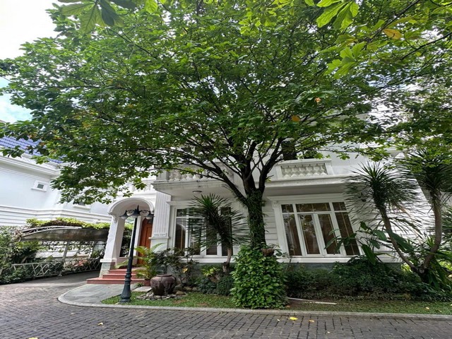 Long description image 1