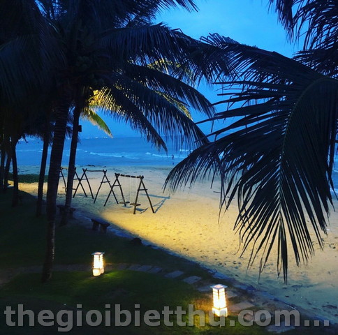 Long description image 1